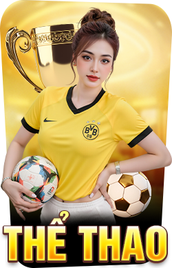 the-thao-new88